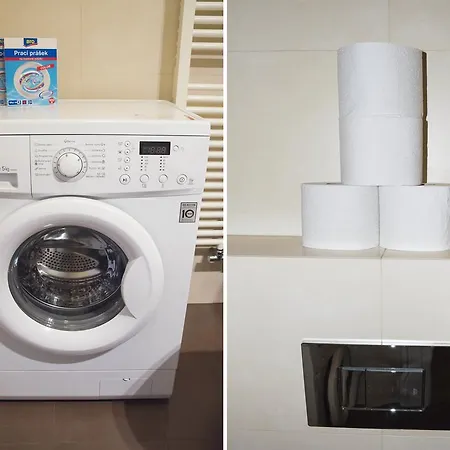 Apartman Modern Vsehrdova Prága