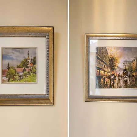 Apartmán Modern Všehrdova *